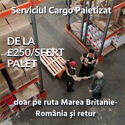 Cargo-Paletizat