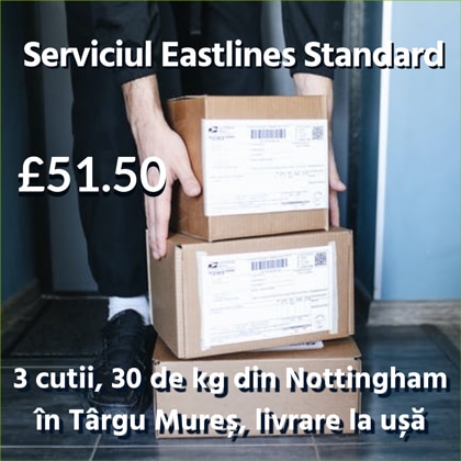 Servicii-Eastlines-Standard